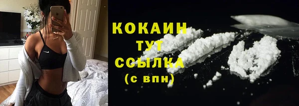 соль ск Медвежьегорск