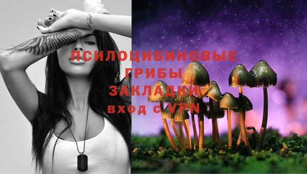 спайс Медногорск