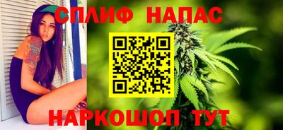 mdpv Заводоуковск