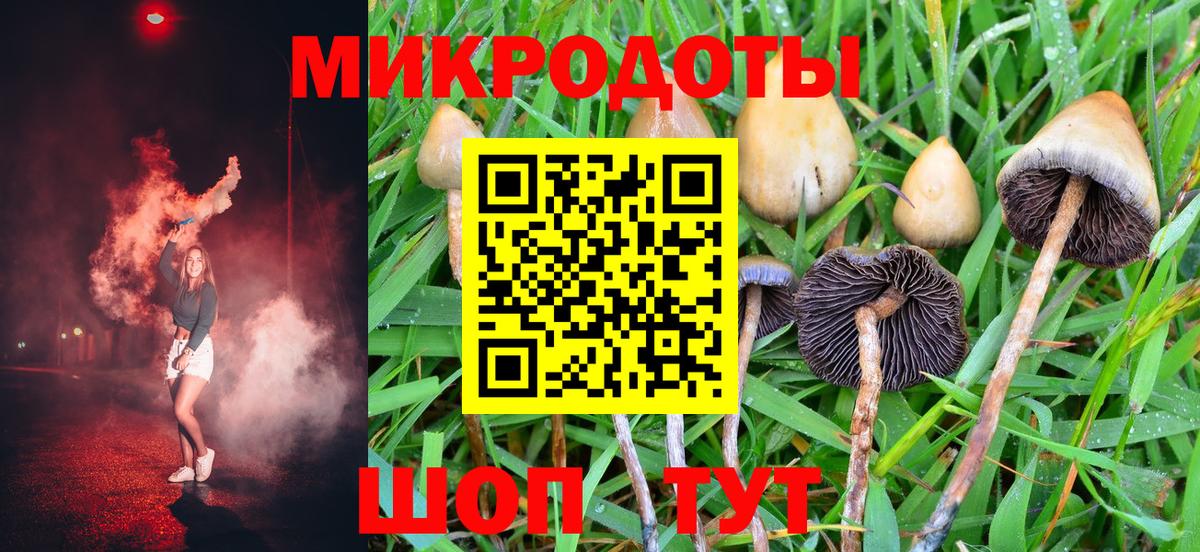 Псилоцибиновые грибы мицелий Сыктывкар