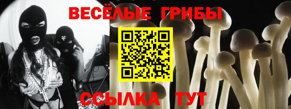 Псилоцибиновые грибы Psilocybe  как найти наркотики  Сыктывкар  Вход с VPN 