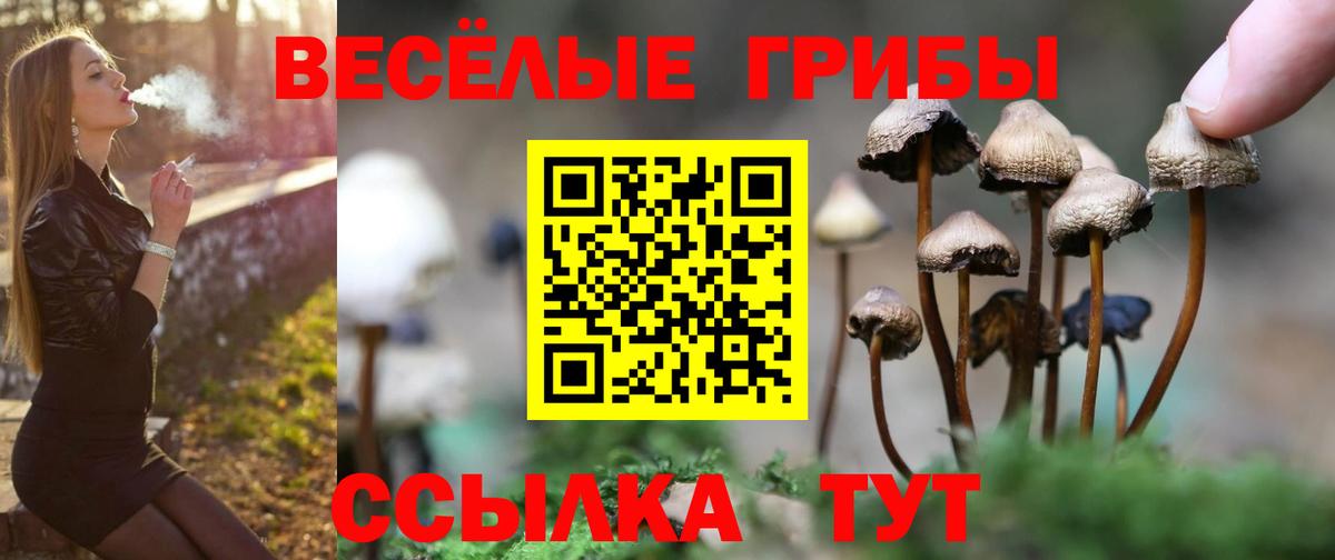 Псилоцибиновые грибы Magic Shrooms  Галлюциногенные грибы Magic Shrooms  Сыктывкар 