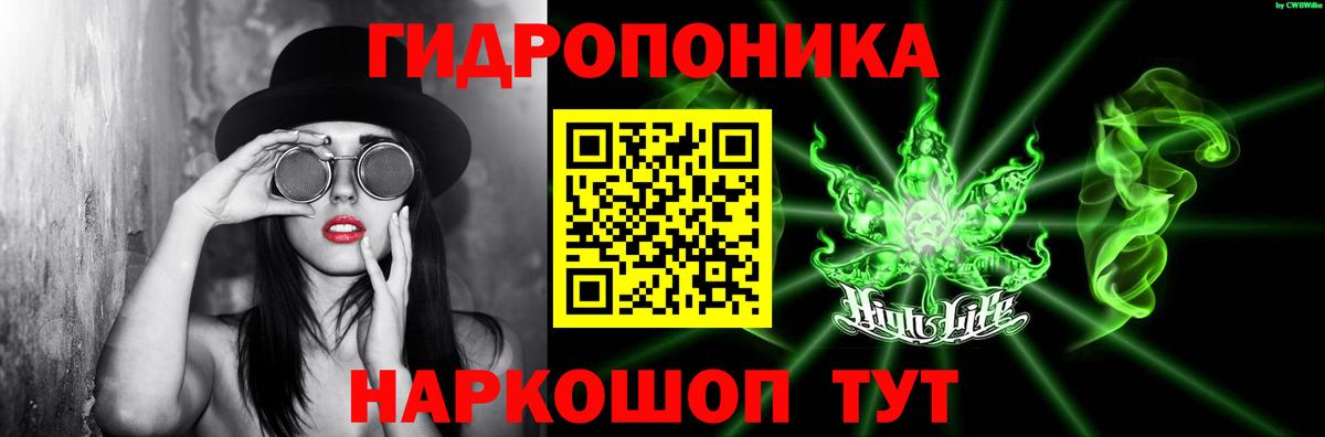 Конопля гибрид  Сыктывкар  Шишки марихуана OG Kush 